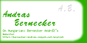 andras bernecker business card